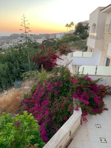 Beau Views Seven Apartment Peyia Exterior foto